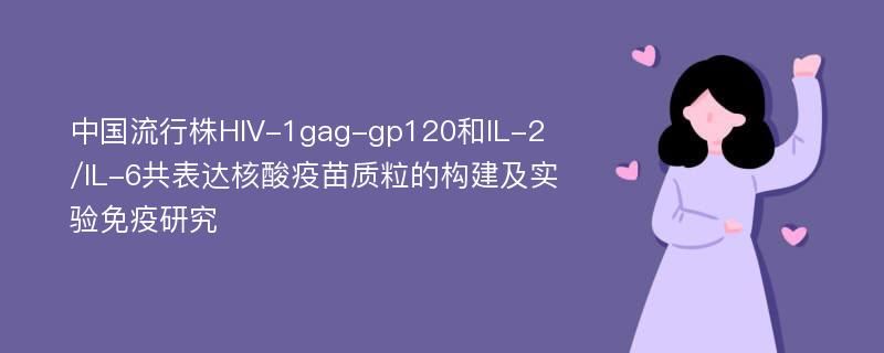 中国流行株HIV-1gag-gp120和IL-2/IL-6共表达核酸疫苗质粒的构建及实验免疫研究
