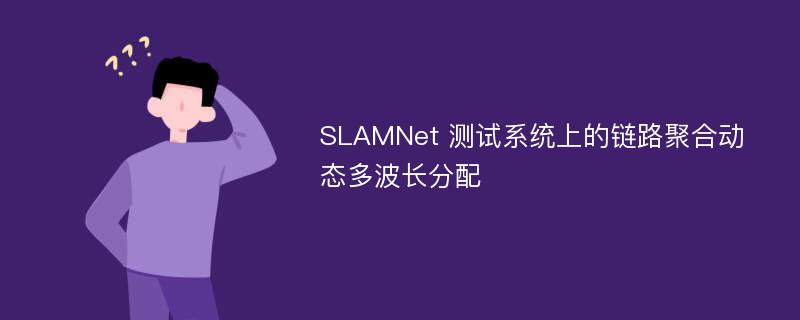 SLAMNet 测试系统上的链路聚合动态多波长分配